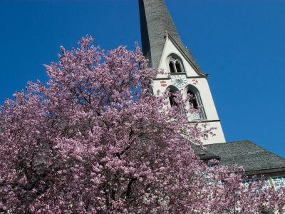 Bergfrühling in Imst